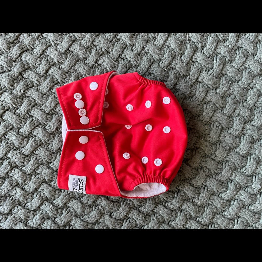 New & Unused Cloth Diaper